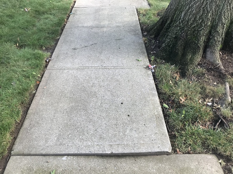 DOT Sidewalk Violation Removal New York Image